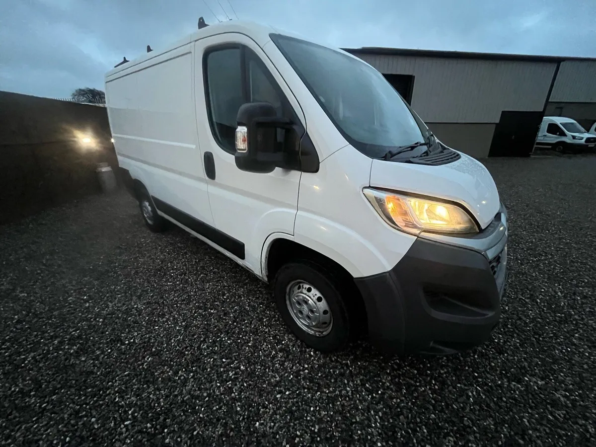 2019 Citreon relay *new doe* - Image 2