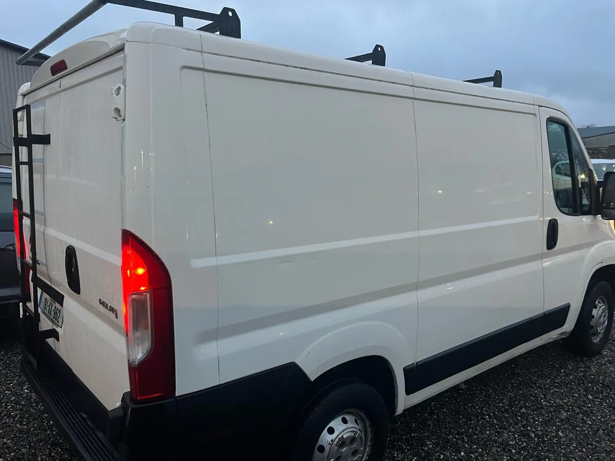 2019 Citreon relay *new doe* - Image 4