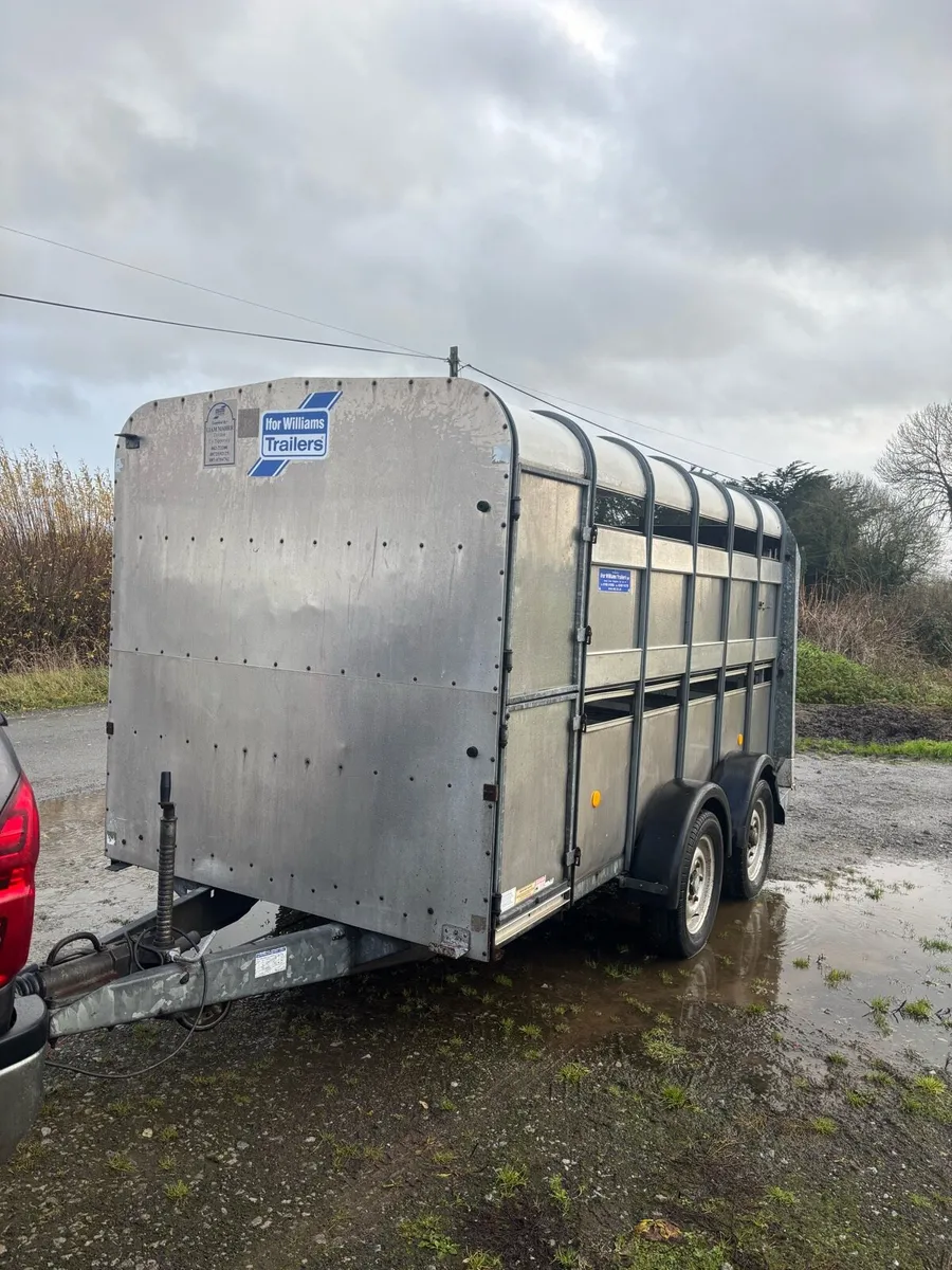 Iforwilliams 12 x 6 - Image 1