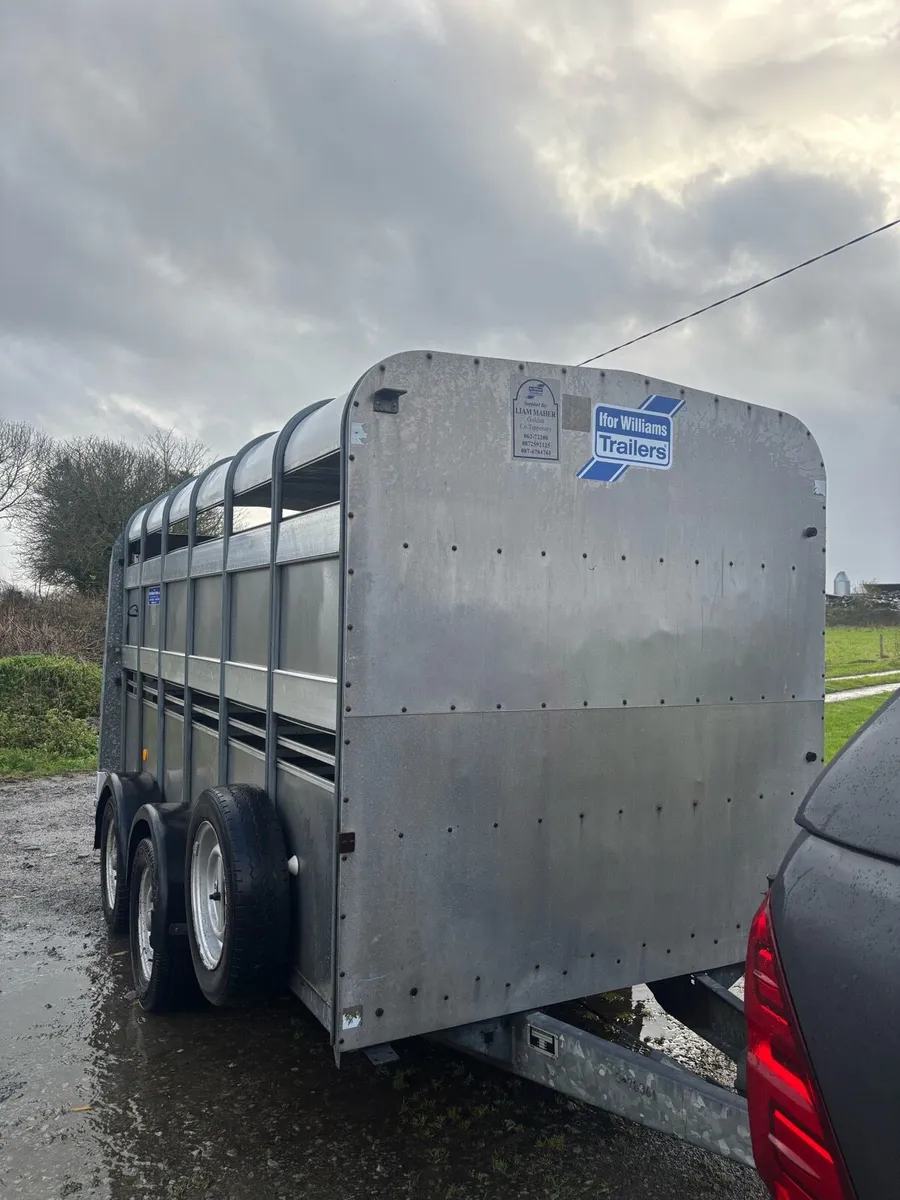 Iforwilliams 12 x 6 - Image 2