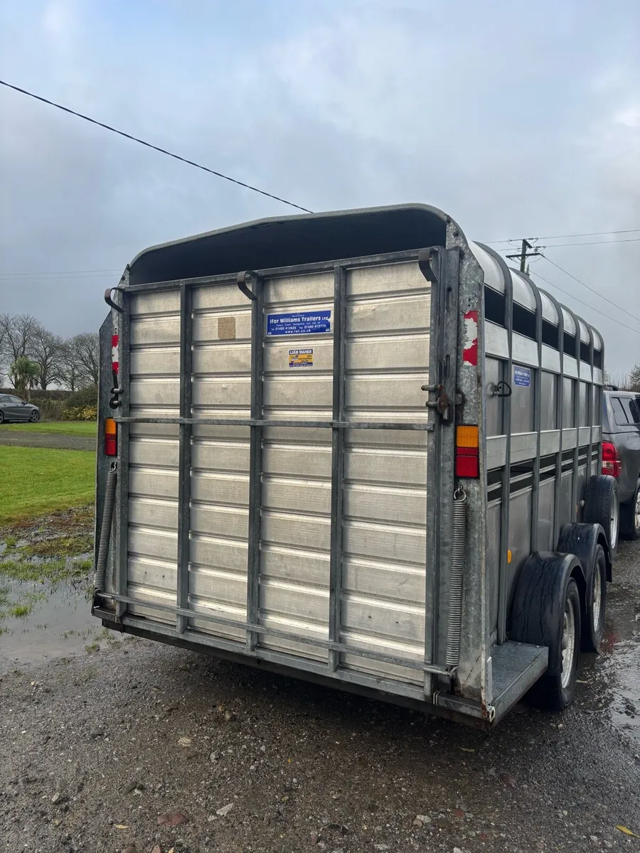 Iforwilliams 12 x 6 - Image 3