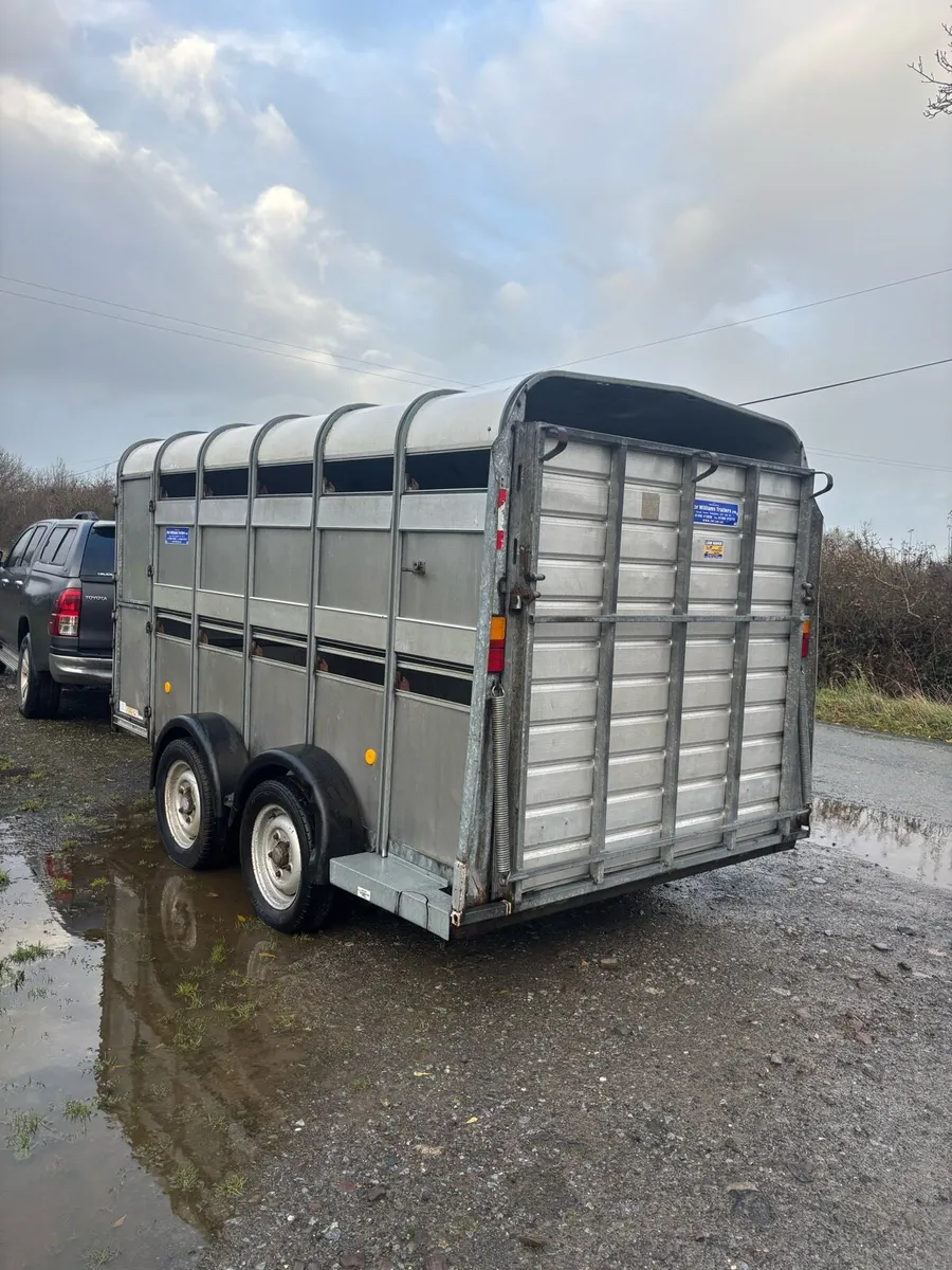 Iforwilliams 12 x 6 - Image 4