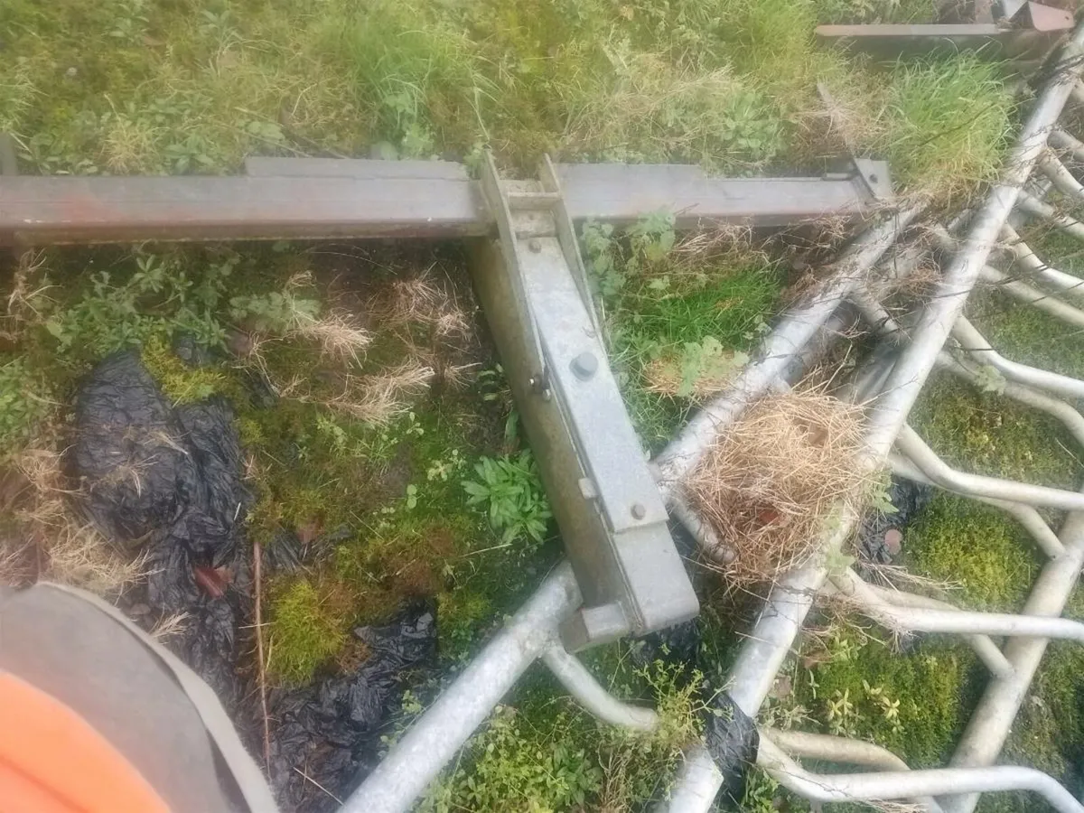 Feed steel barriers scrappers - Image 2