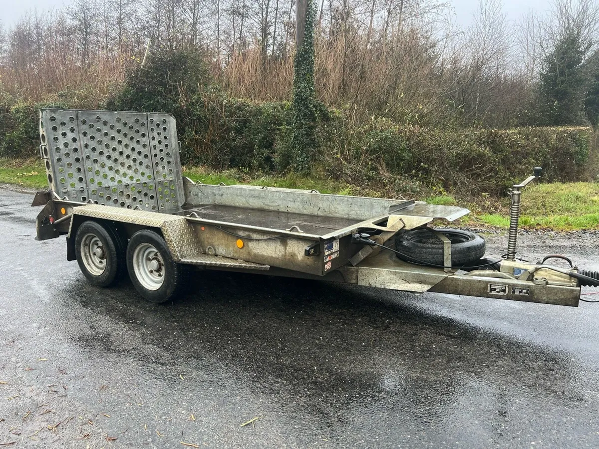 2020 IFor Williams beavertail plant 10 ft x 5ft 4 - Image 1