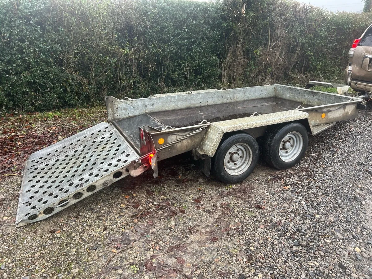 2020 IFor Williams beavertail plant 10 ft x 5ft 4 - Image 3