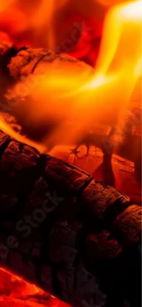 Warm and Cozy Evenings / kiln dried Ash Firewood - Image 1