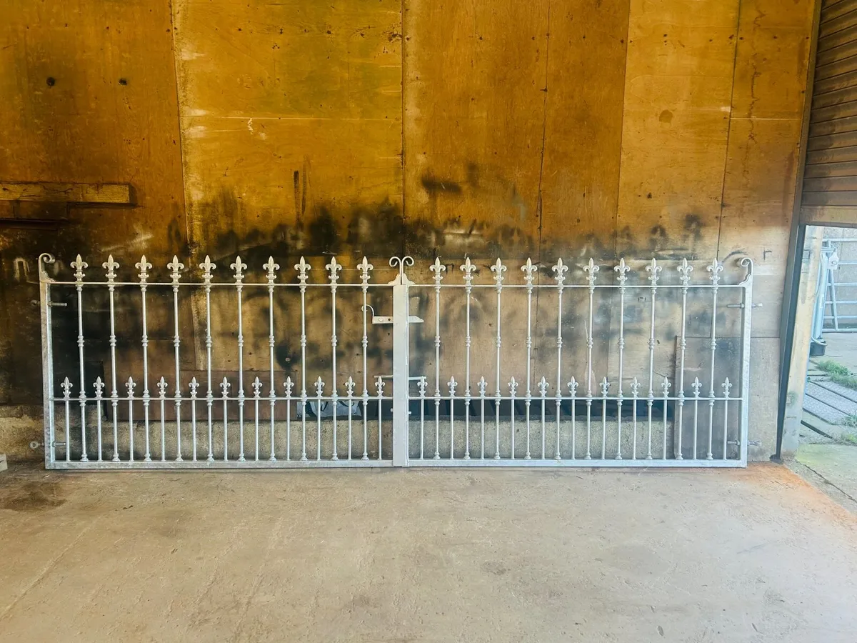 New Entrance Gates - Image 3