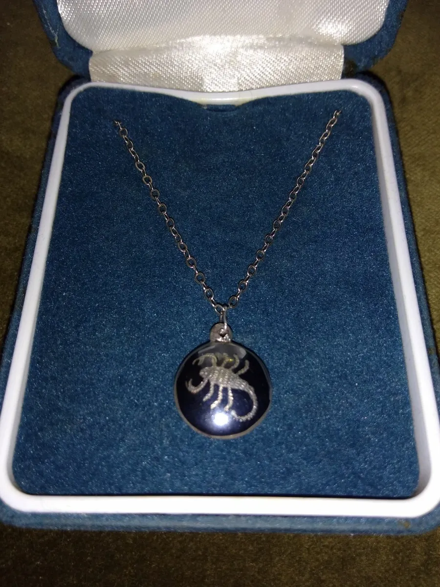 Vintage 925 Silver & Enamel Scorpion Necklace - Image 1