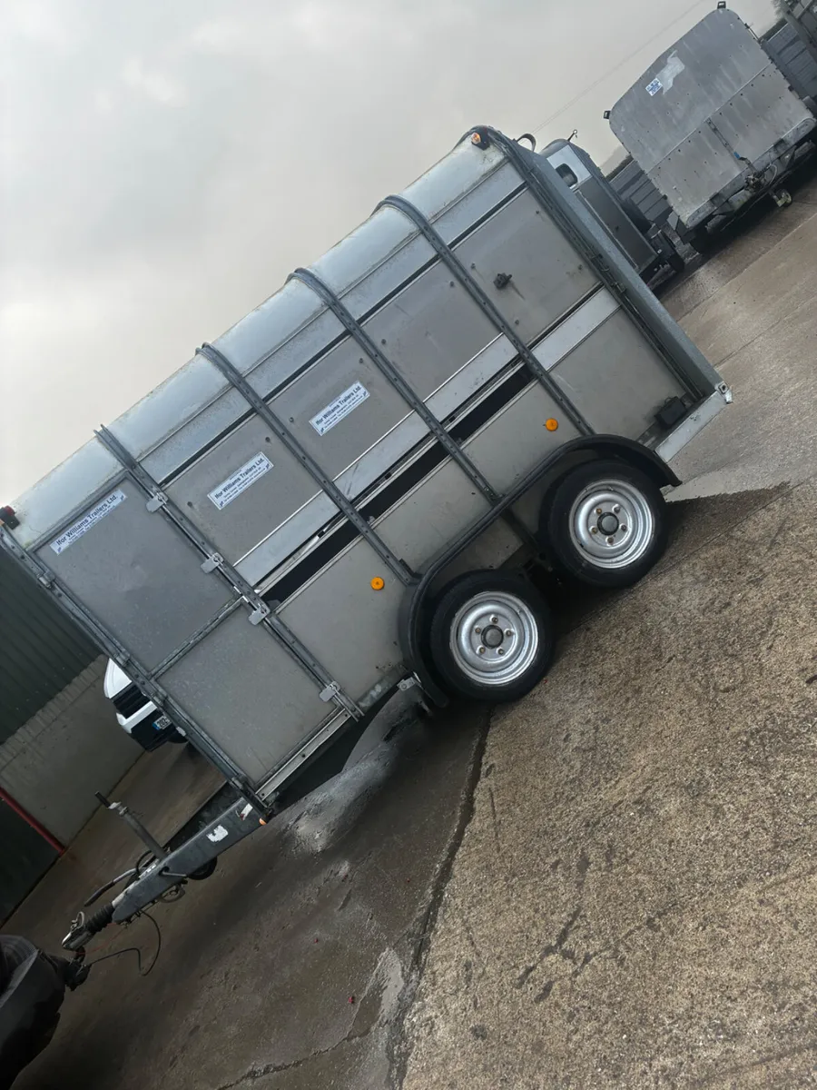 10x5 ifor Williams cattle trailer - Image 3