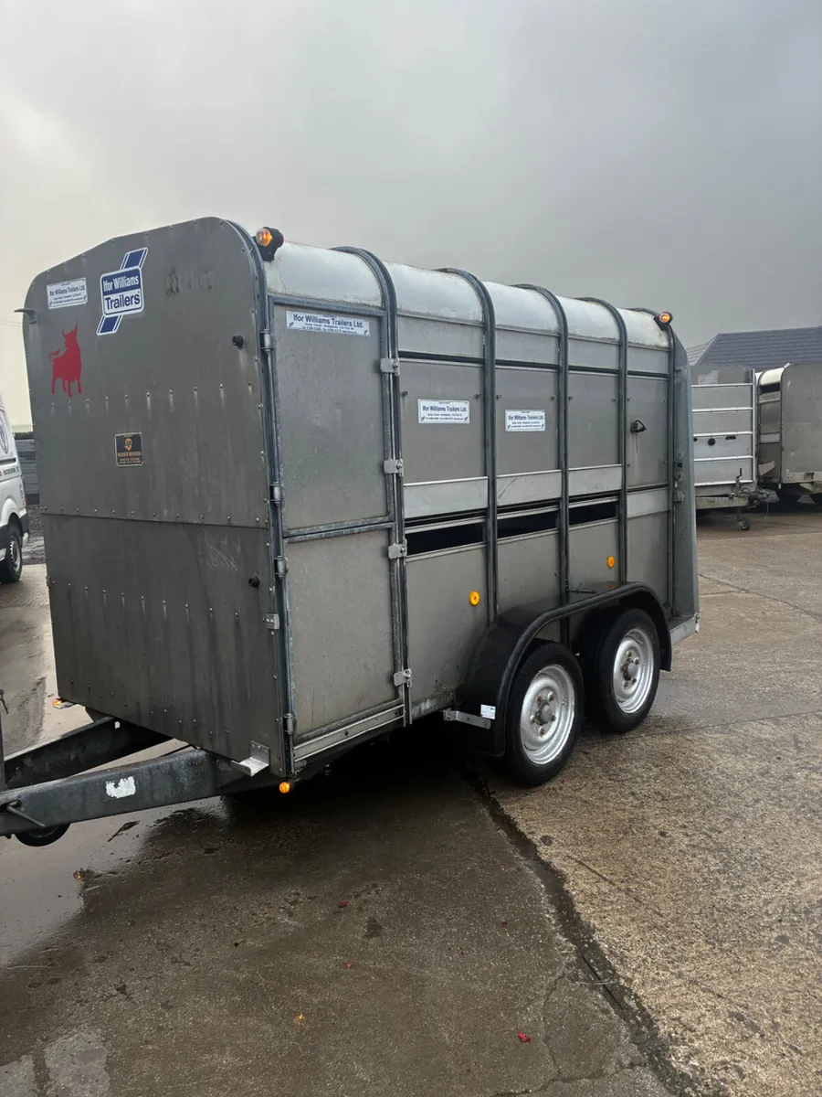 10x5 ifor Williams cattle trailer - Image 2