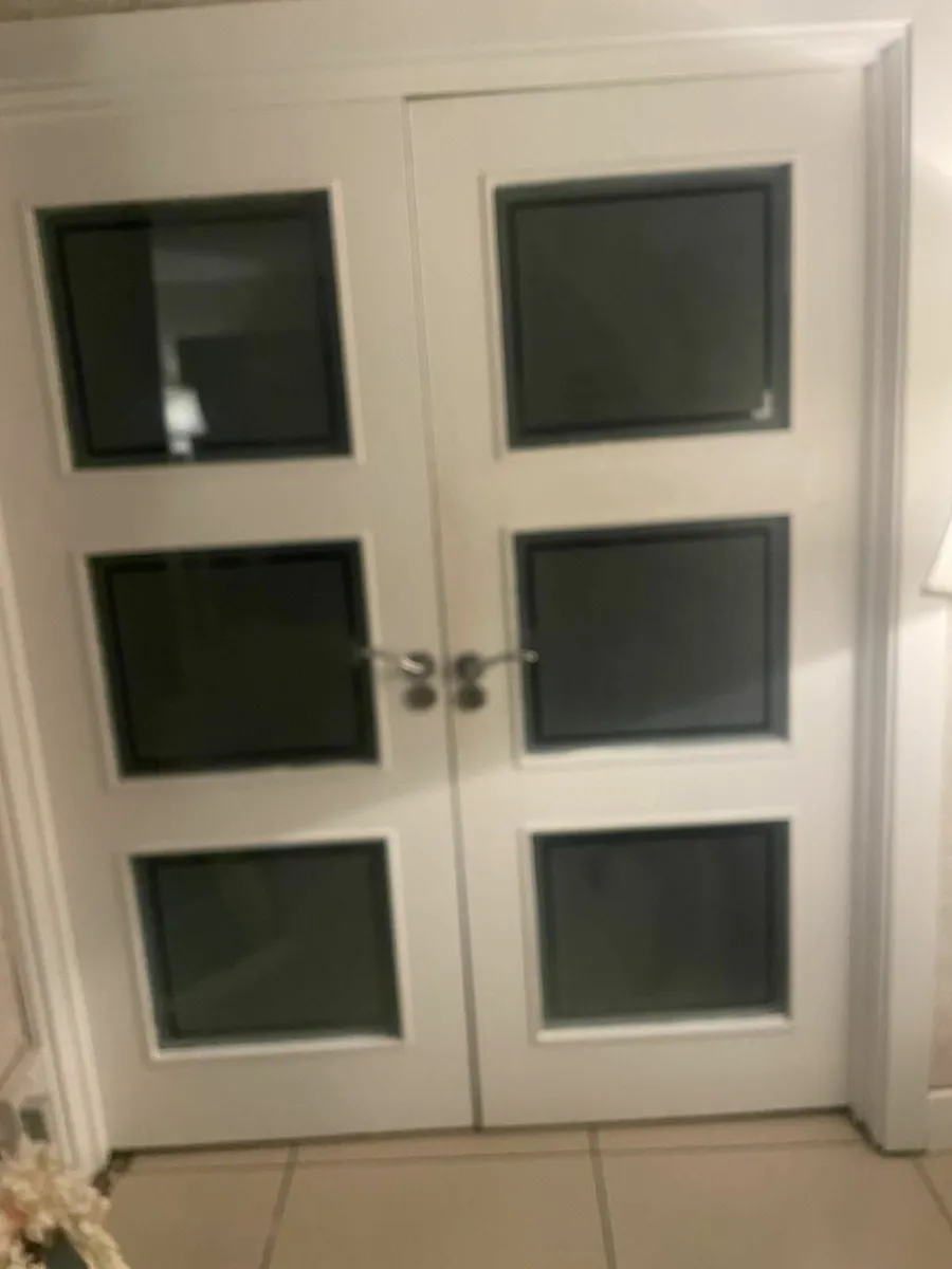 Doors.  Free to take away - Image 2