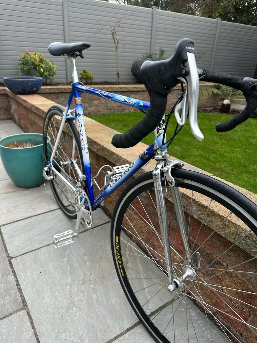 Colnago - Image 2