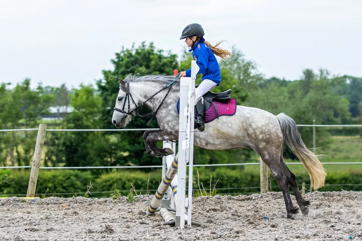 128cm Jumper / all rounder Childs Dream - Image 1