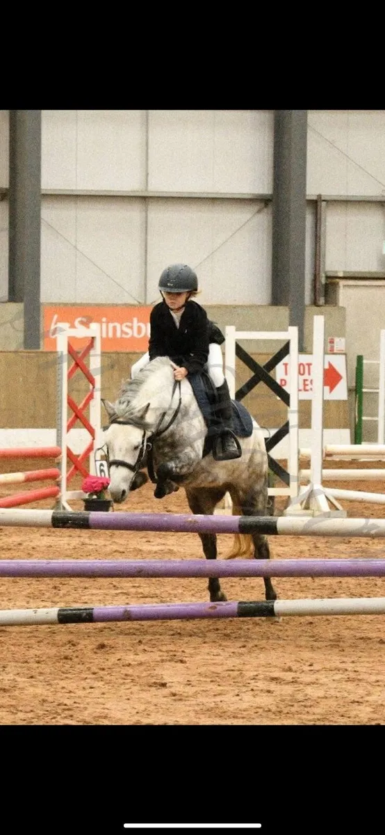 128cm Jumper / all rounder Childs Dream - Image 3