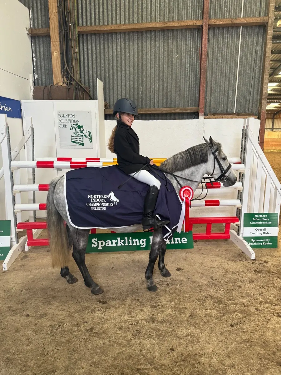 128cm Jumper / all rounder Childs Dream - Image 4