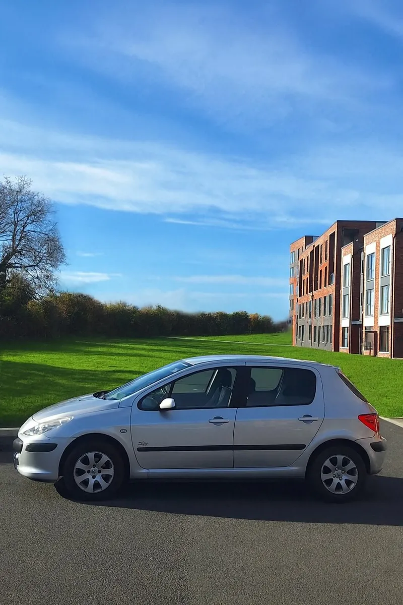 Peugeot 307 2008 - Image 2