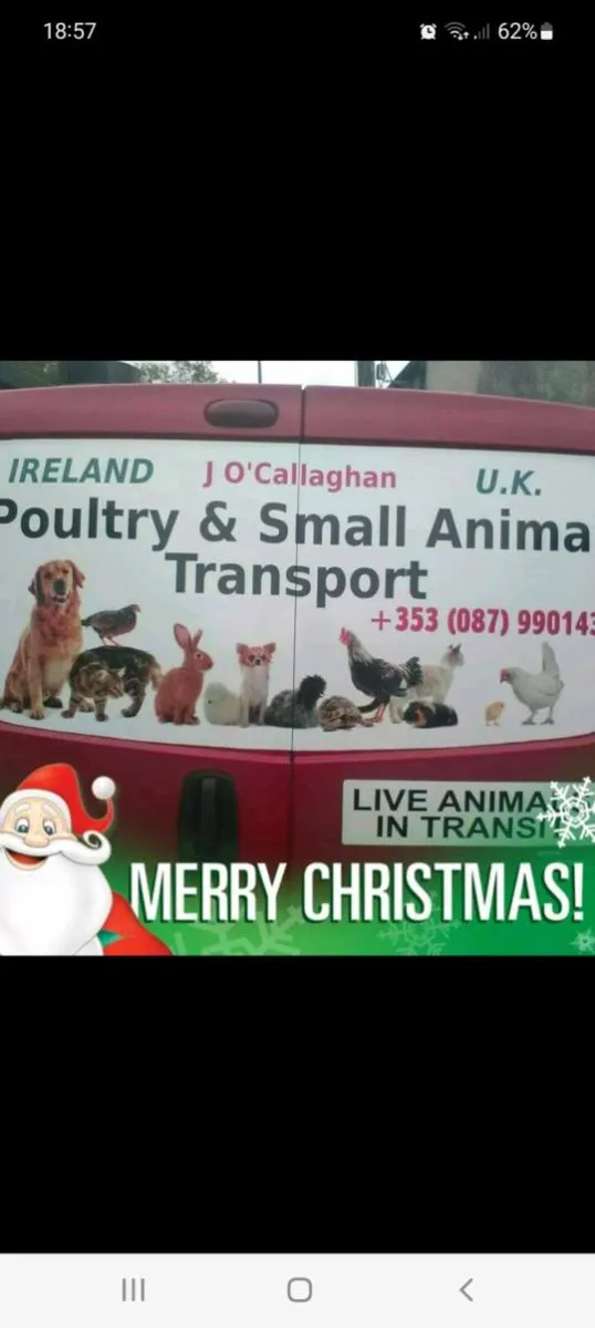 Poultry and small animal transport - Image 1