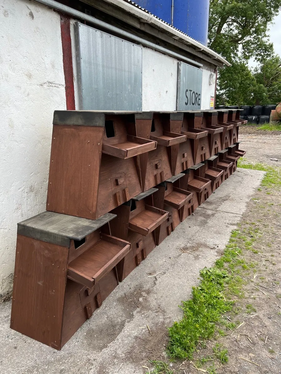 Owl boxes - Image 2