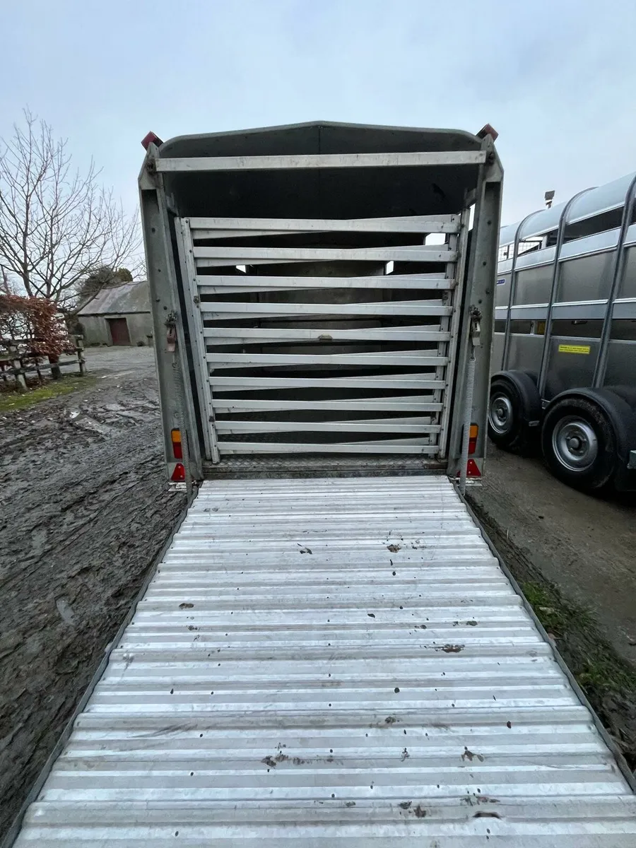 Cattle Trailer - Image 3