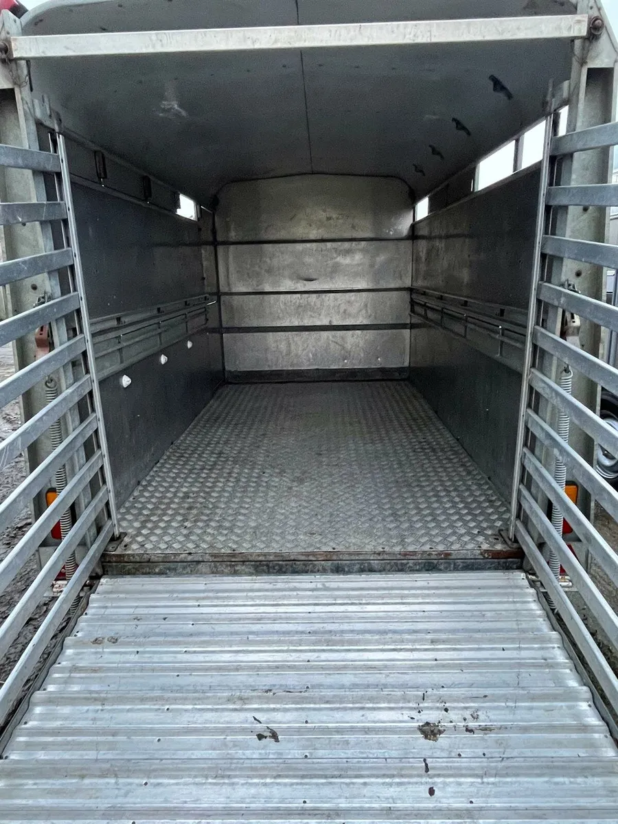 Cattle Trailer - Image 4