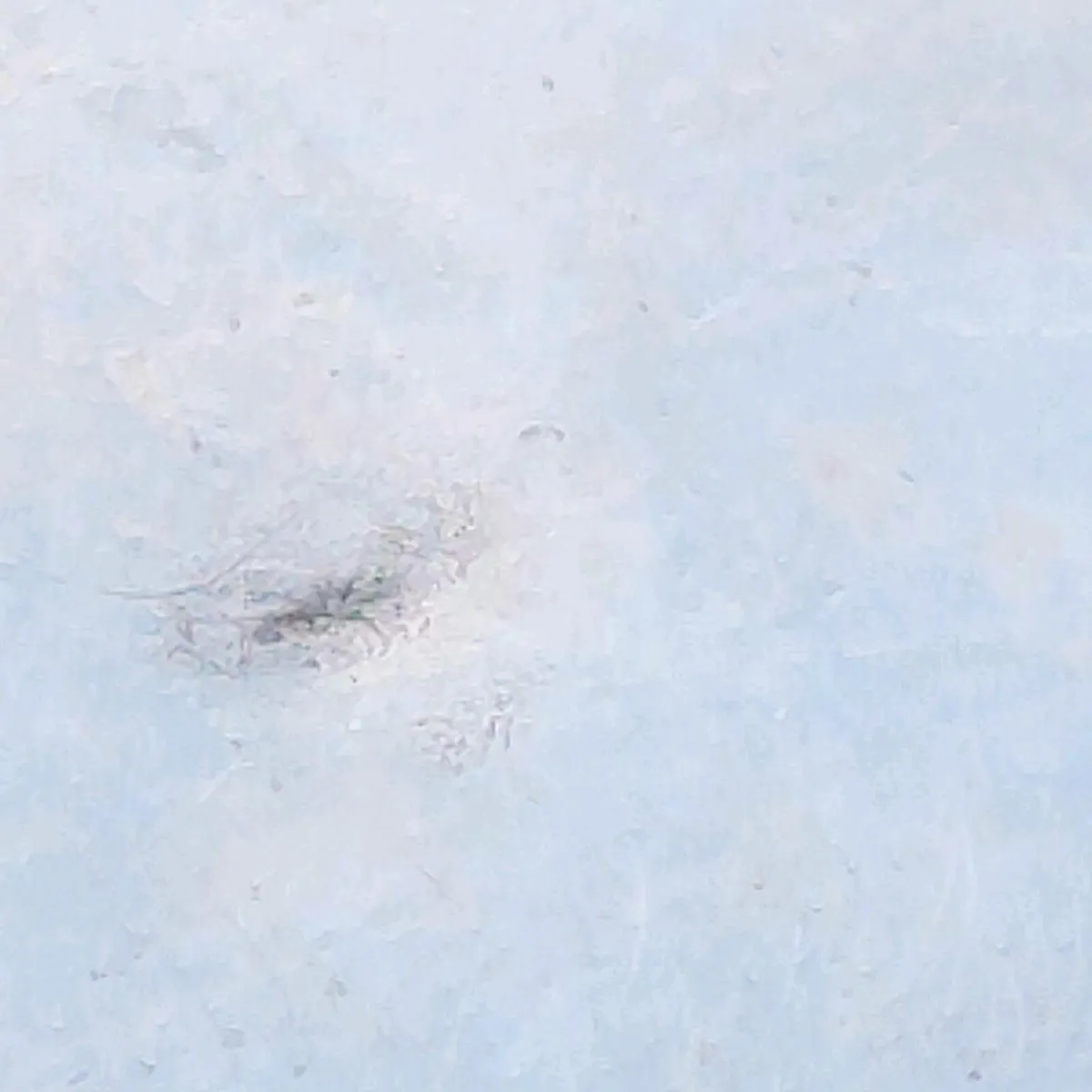 HUGE OCTAGONAL BELCHER LOCKET, 925 Silver Chain ! - Image 2