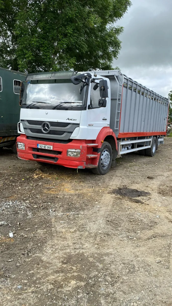 Mercedez cattle truck - Image 1