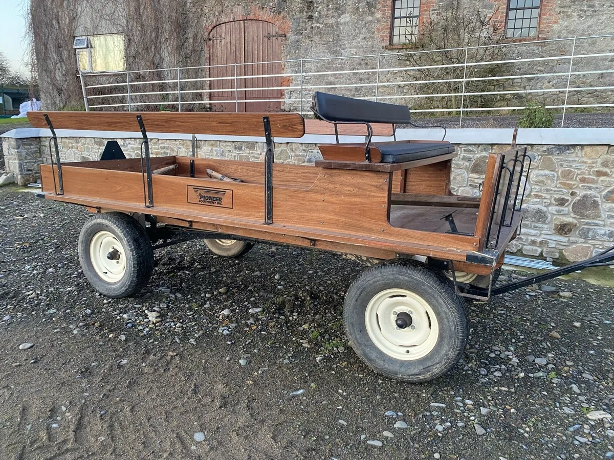 Horse carriage - Image 1