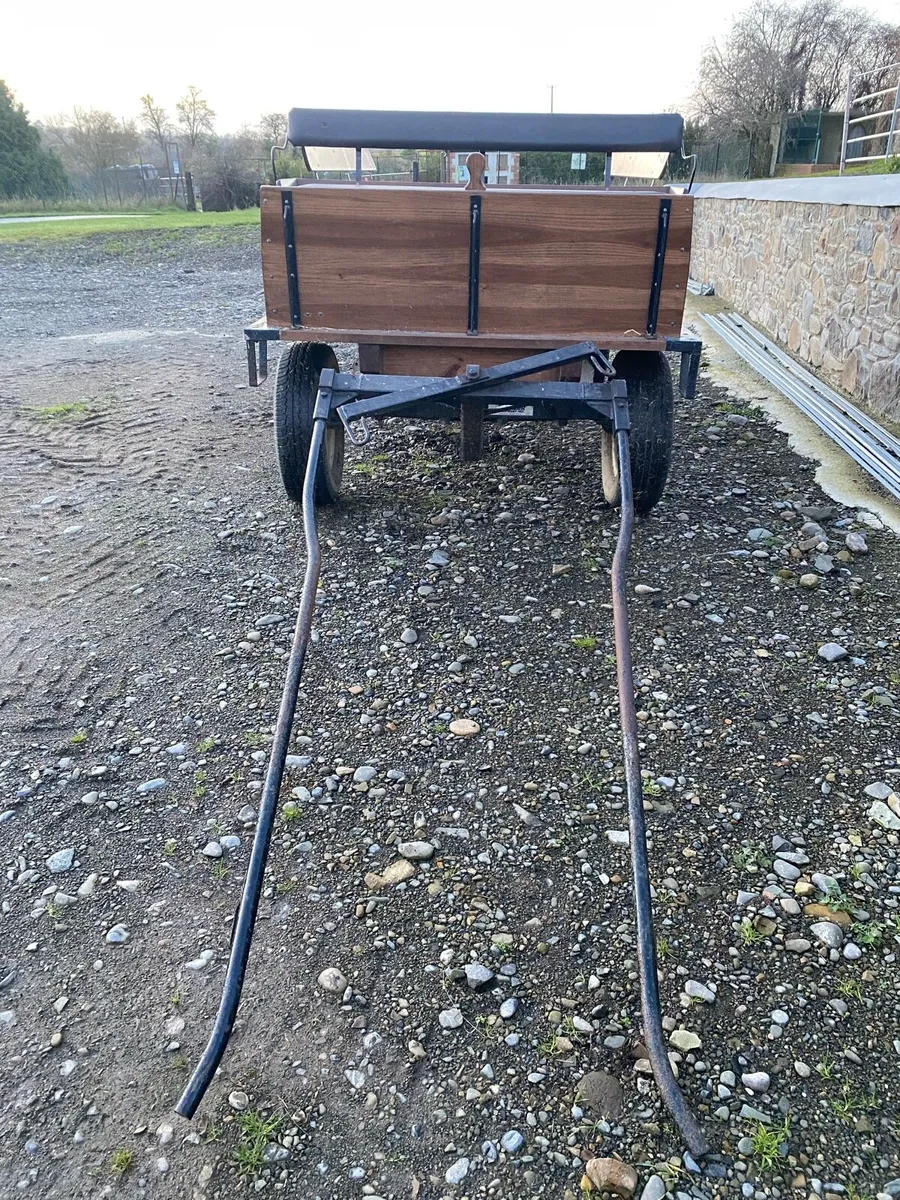 Horse carriage - Image 2