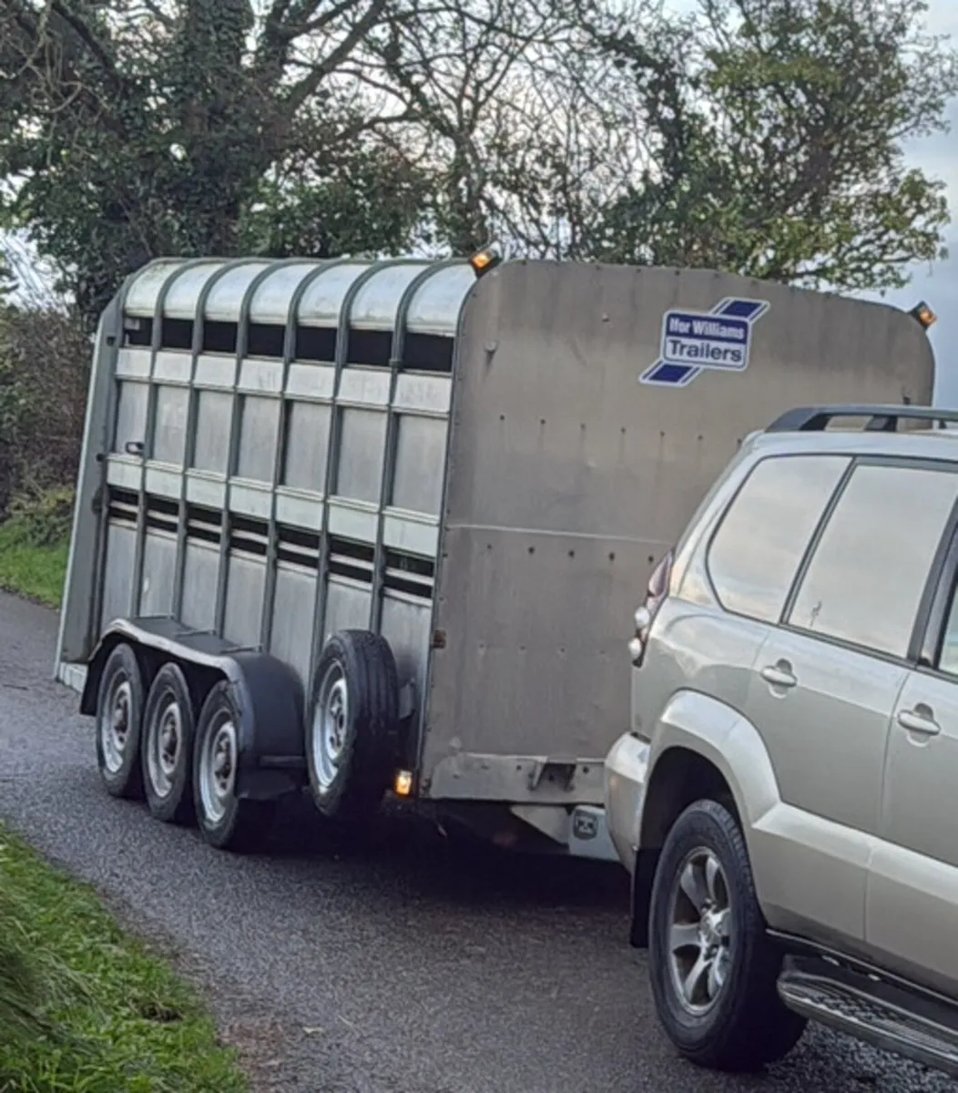 Triple axle box - Image 1