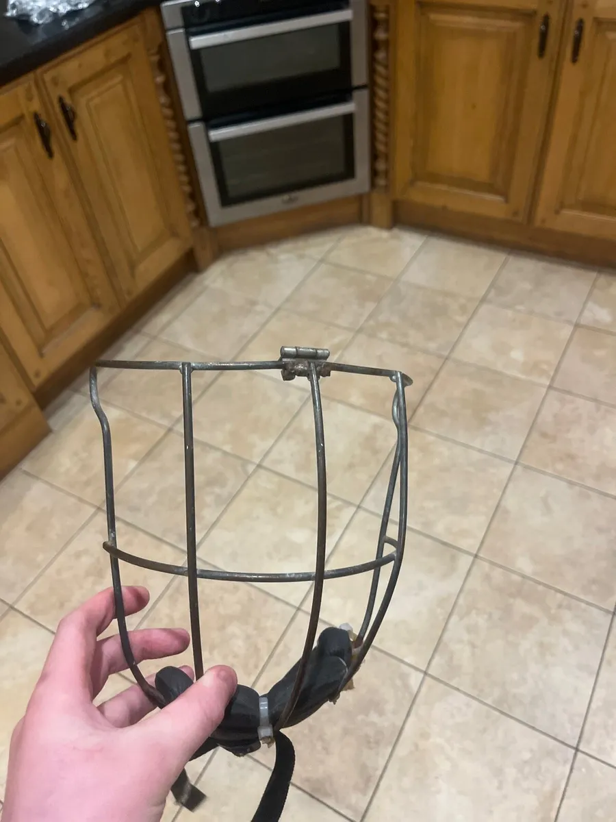 Oldstyle guard - Image 1