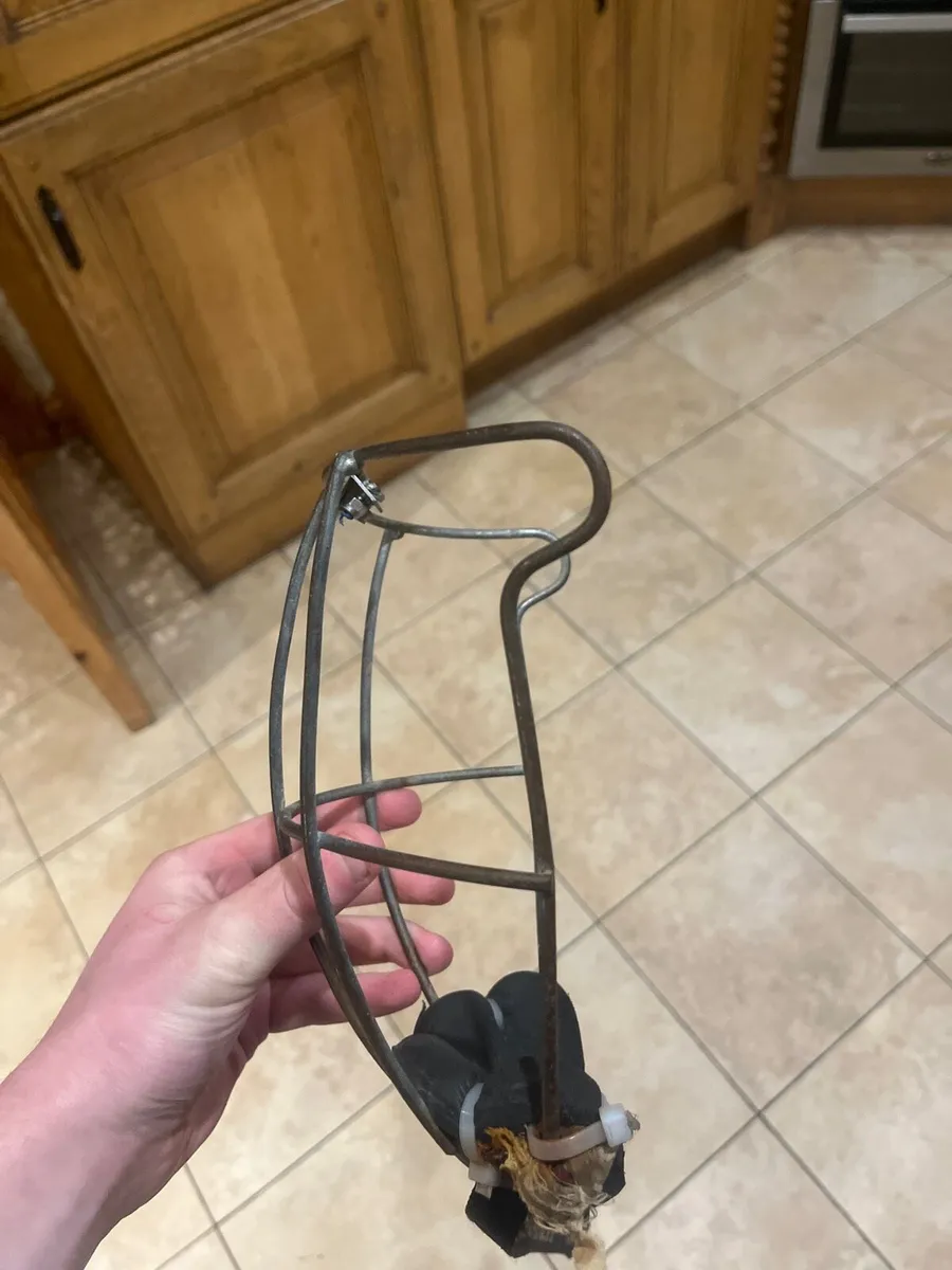 Oldstyle guard - Image 2