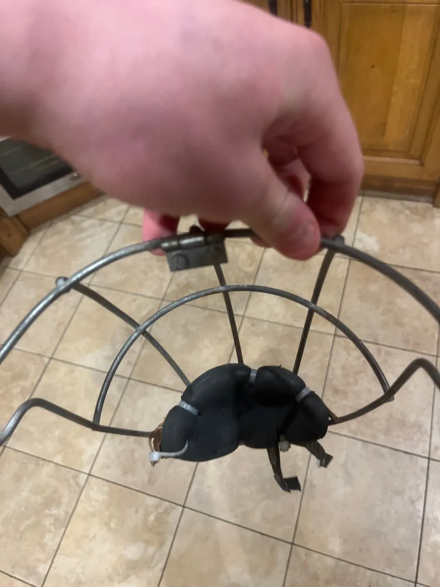 Oldstyle guard - Image 4