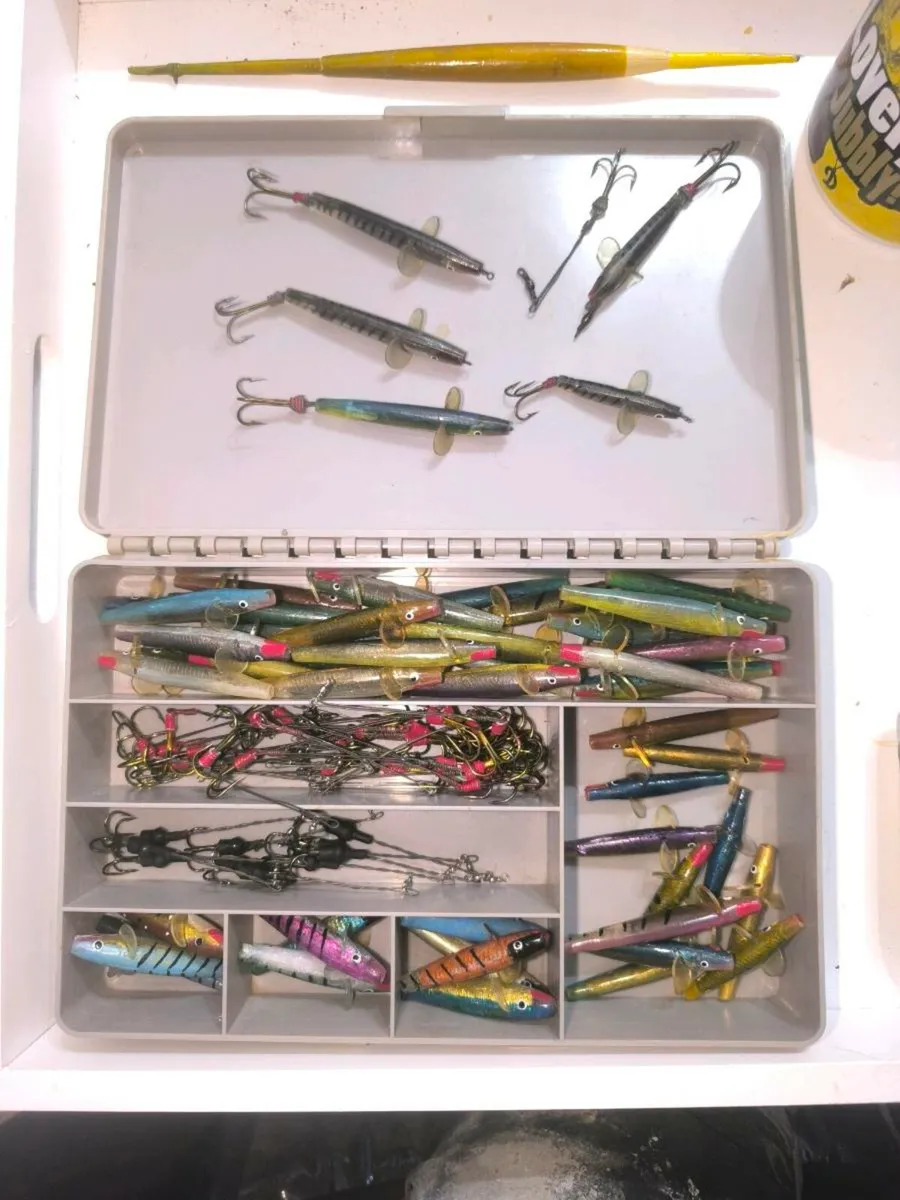 Old vintage Irish Lane minnows. - Image 2