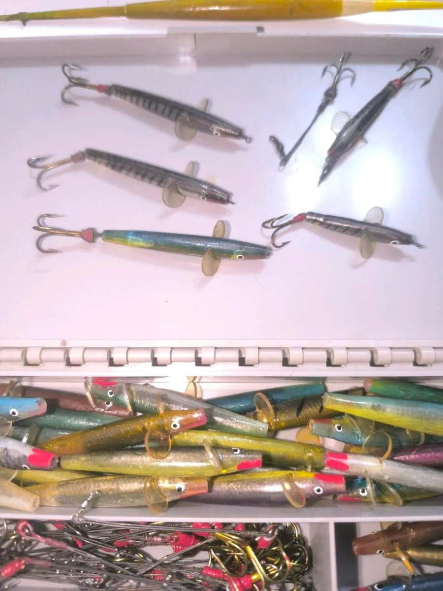 Old vintage Irish Lane minnows. - Image 3