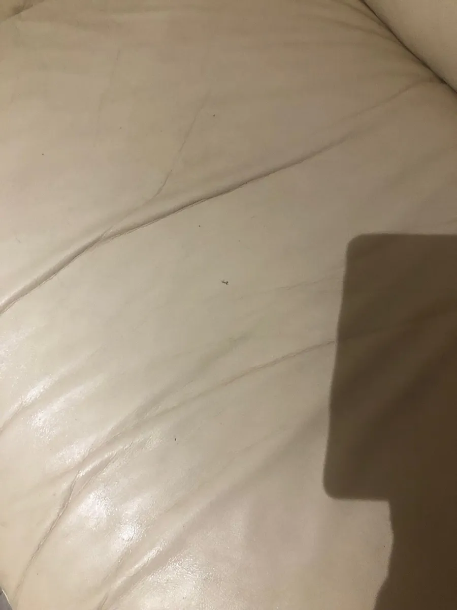 Cream Leather Sofa - Image 3