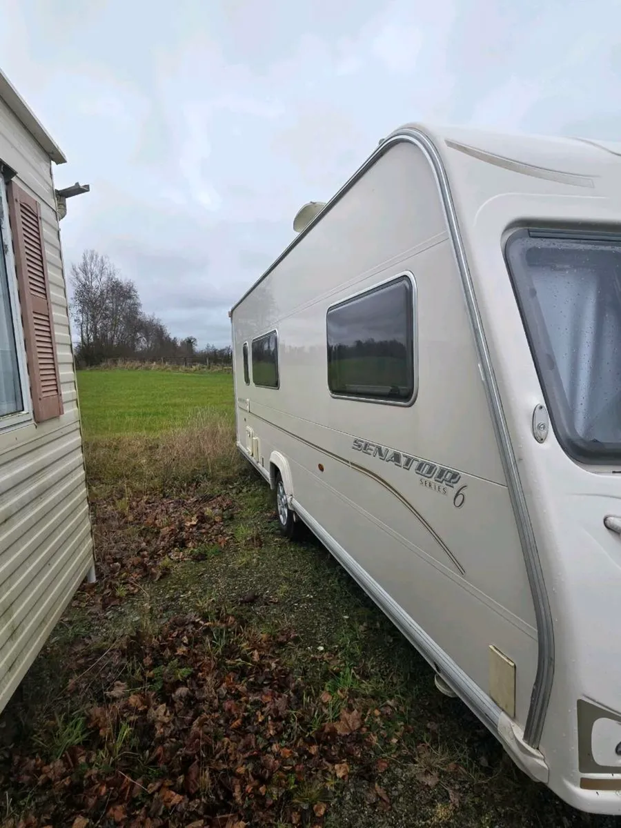 Bailey Senator - Image 2