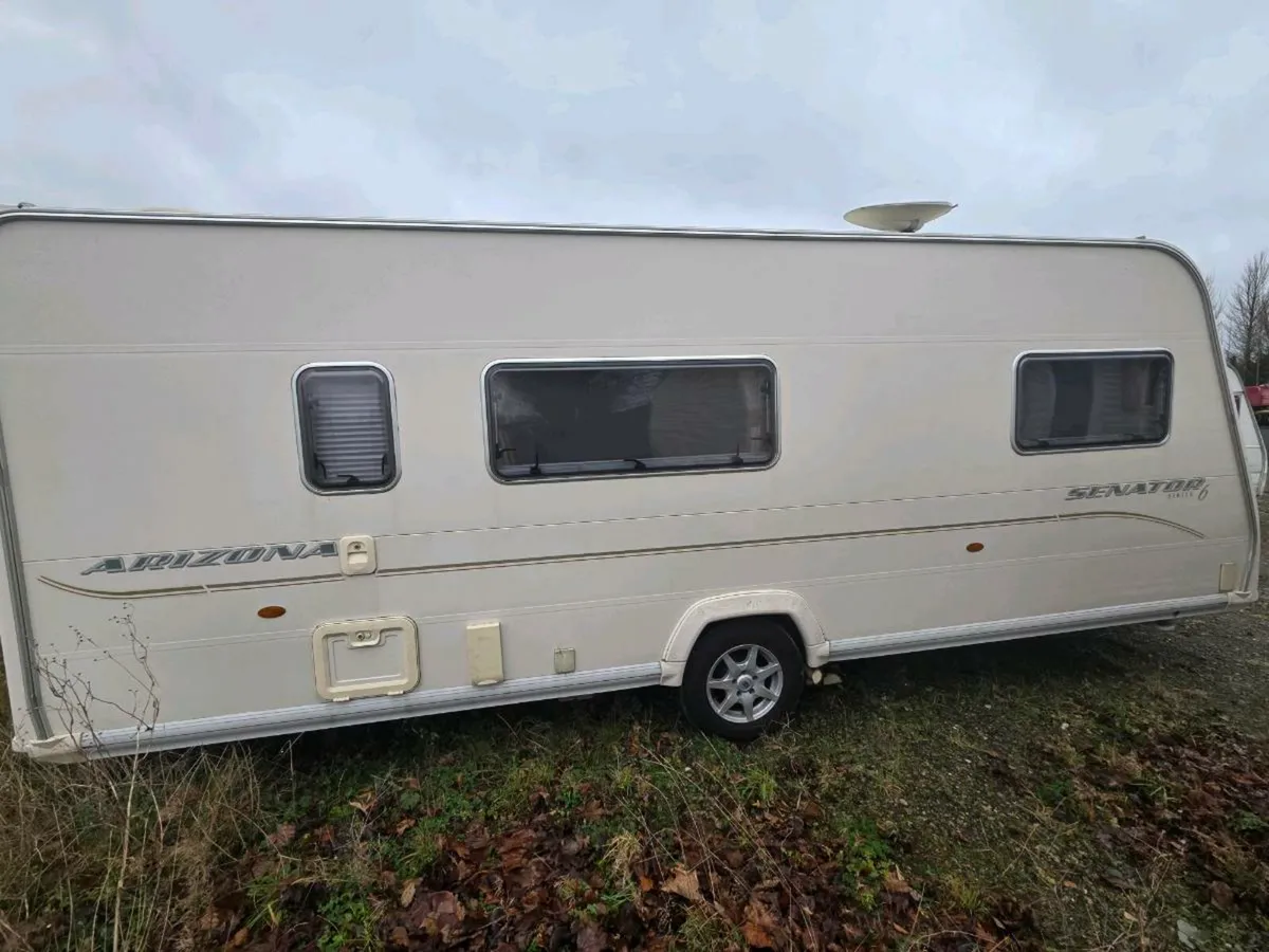 Bailey Senator - Image 3