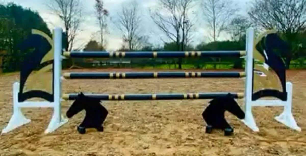 🌟 “Your One-Stop Shop for Arenas, Stables, Shelte - Image 3