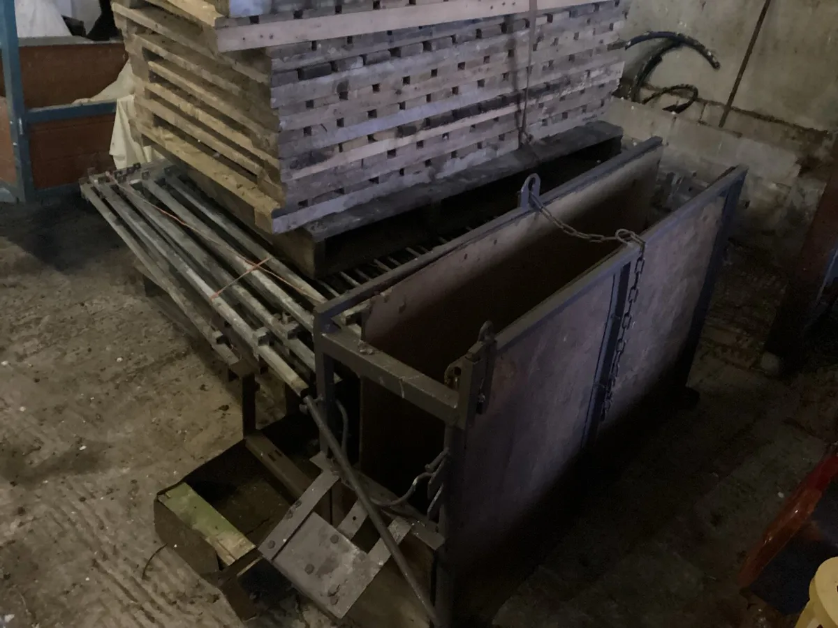 Individual calf pens / dehorning crush - Image 2