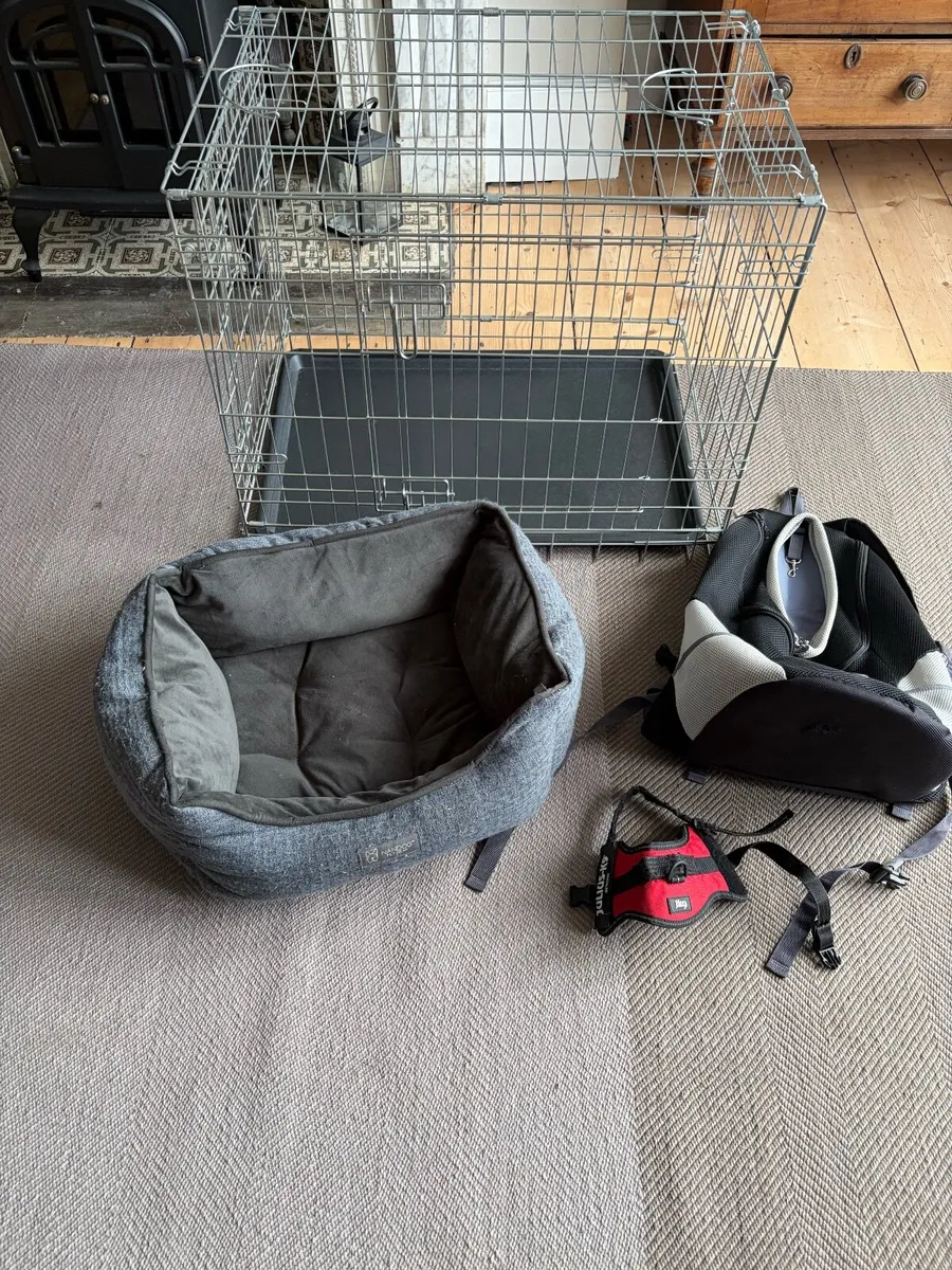 Puppy Starter Pack - Image 1