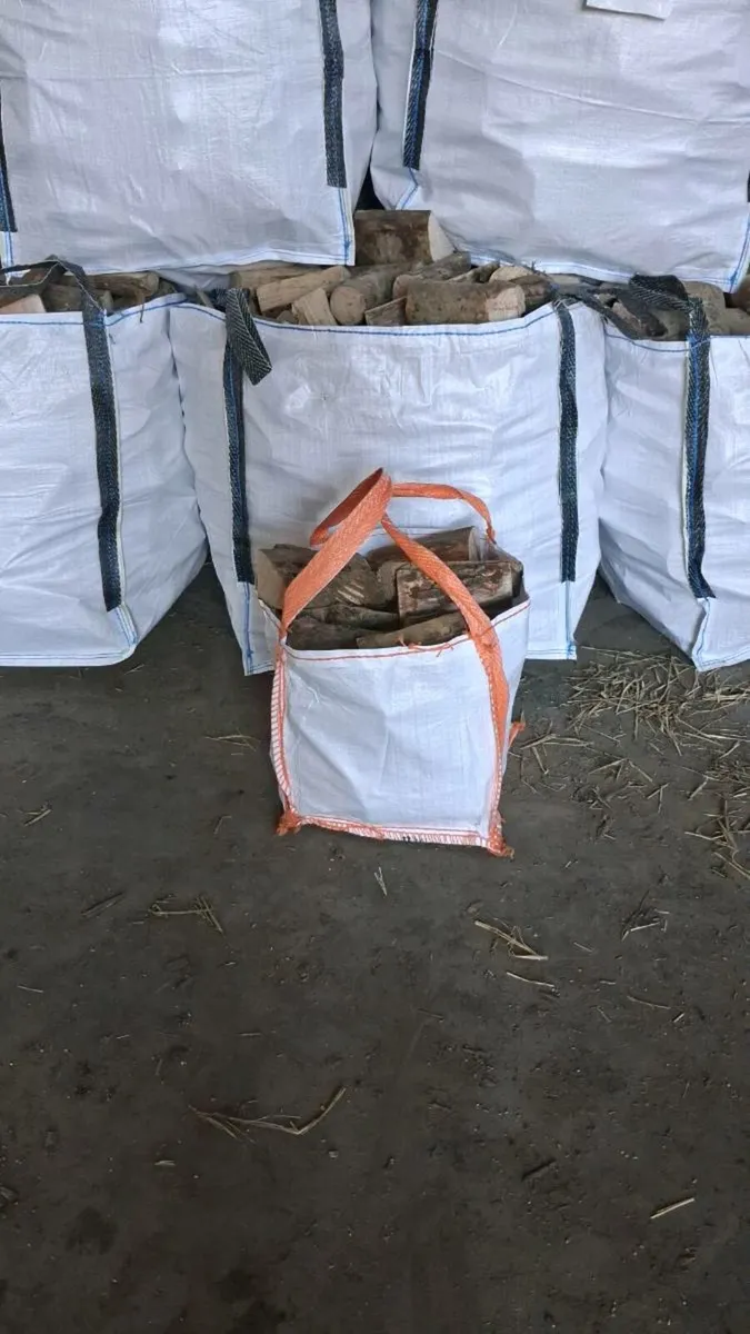 Logs  dried ash - Image 1