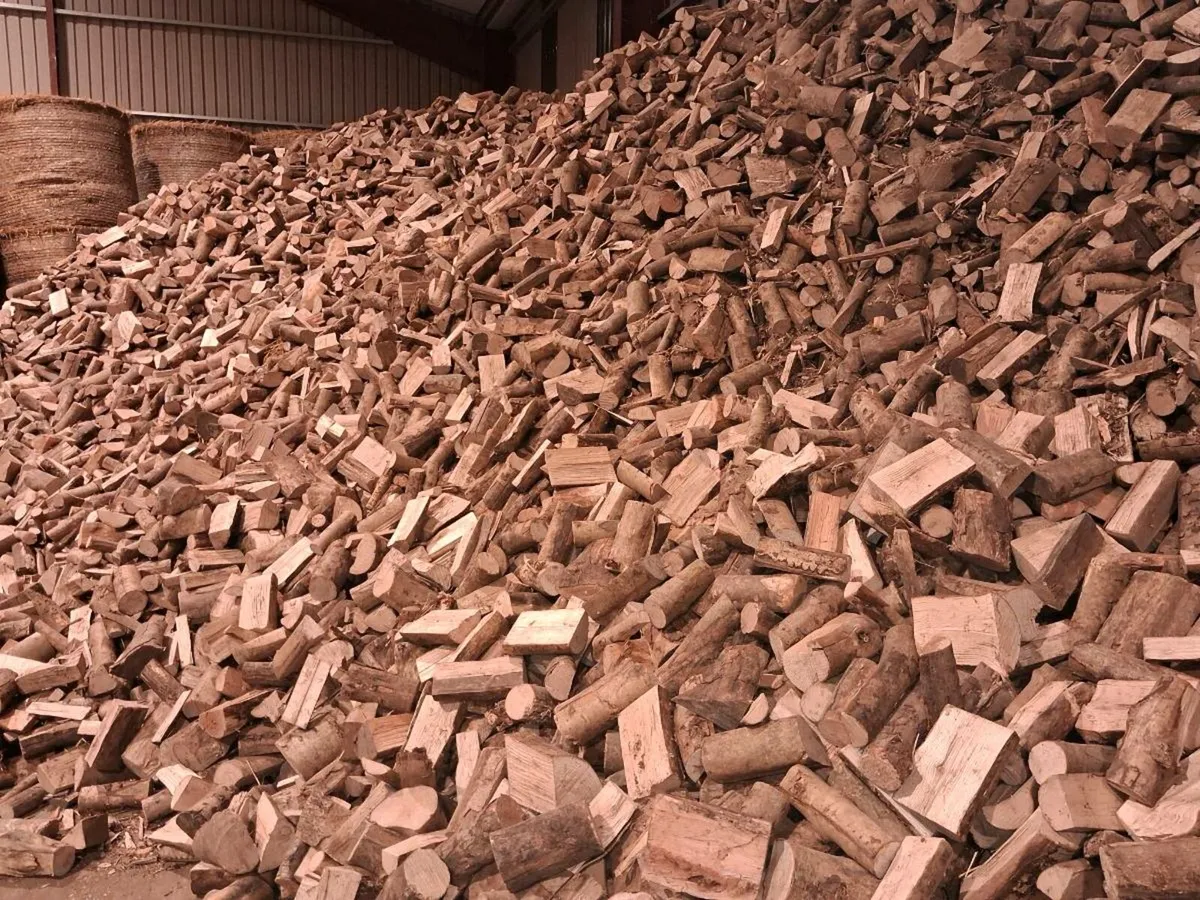 Logs  dried ash - Image 2