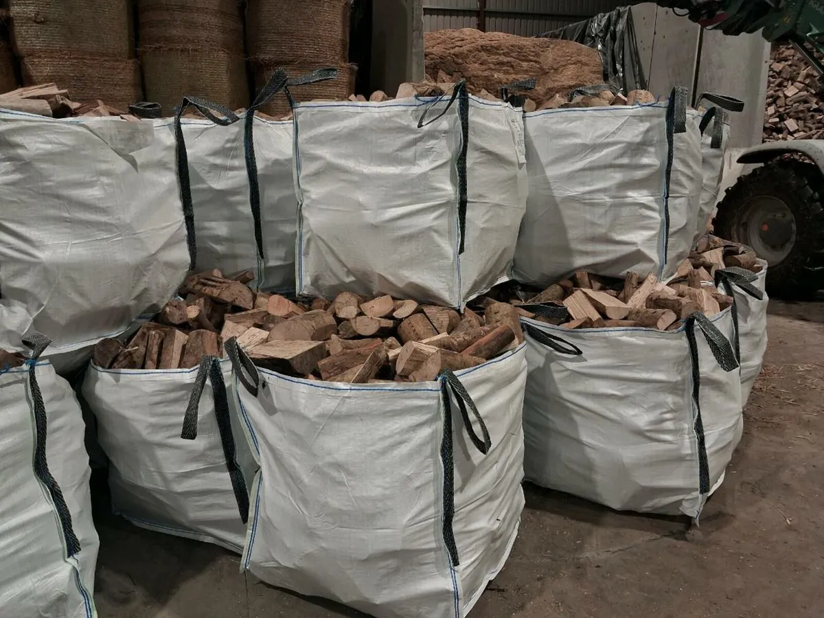 Logs  dried ash - Image 3