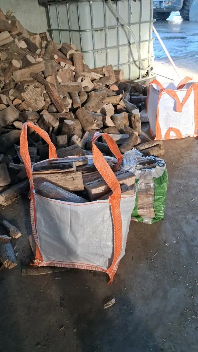 Logs  dried ash - Image 4