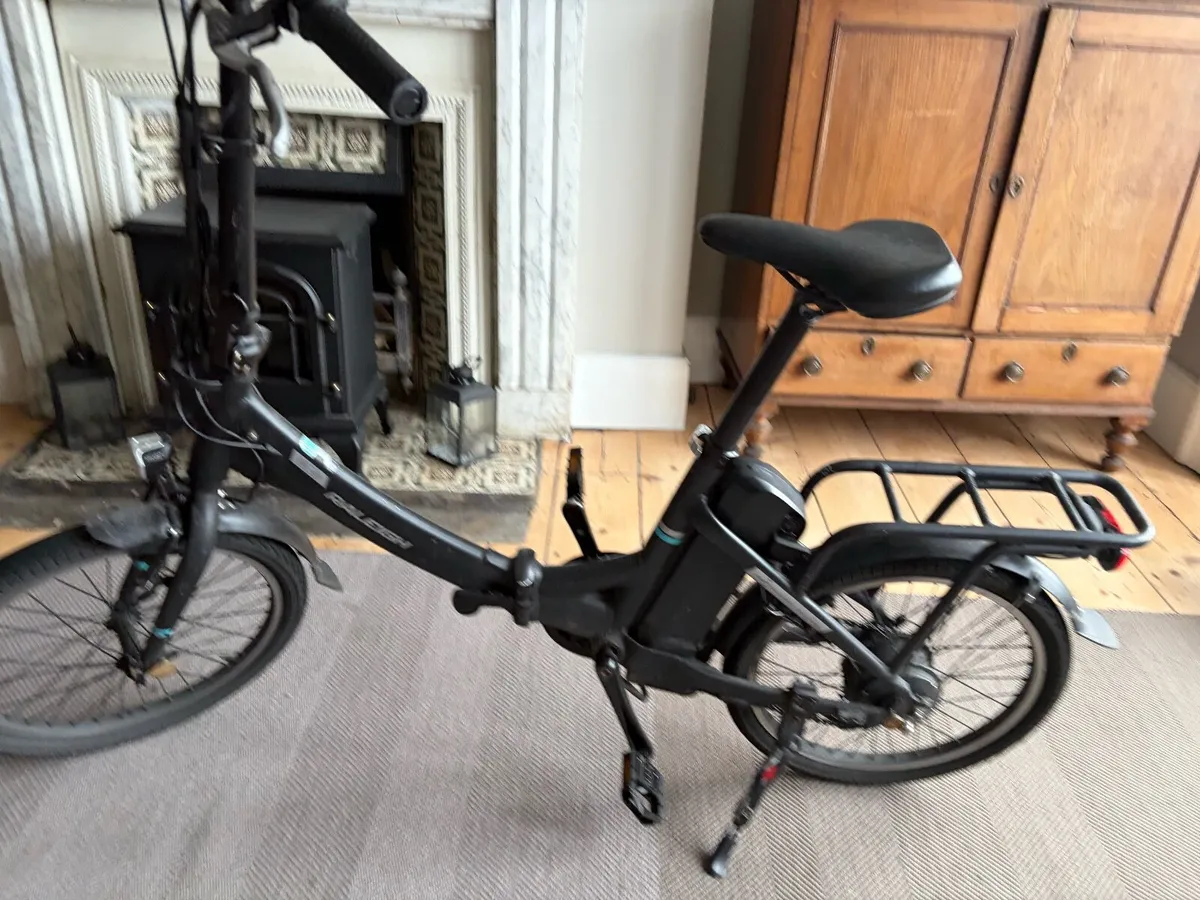 Raleigh Stow-E-Way Folding Electric Bike - Image 1