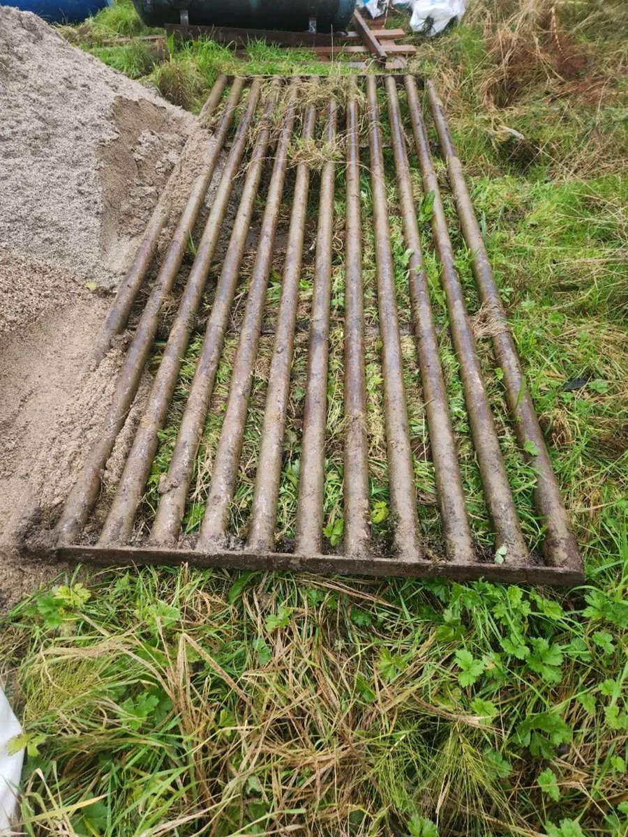 Cattle grid