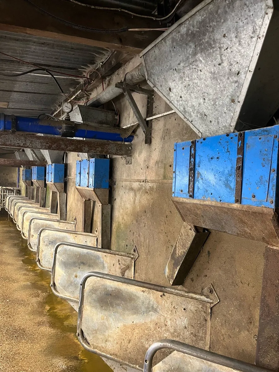 Cashman feeders and Augers - Image 2