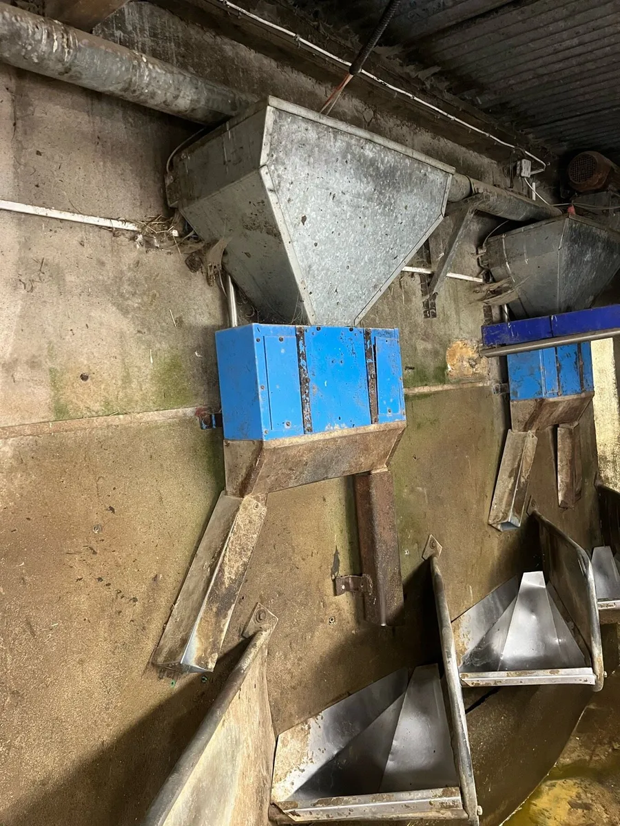 Cashman feeders and Augers - Image 3