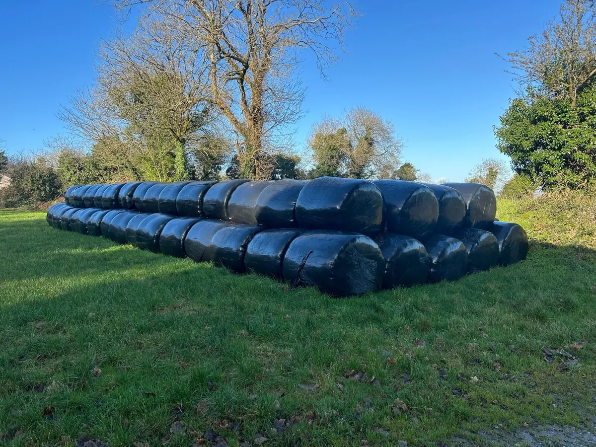Silage bale