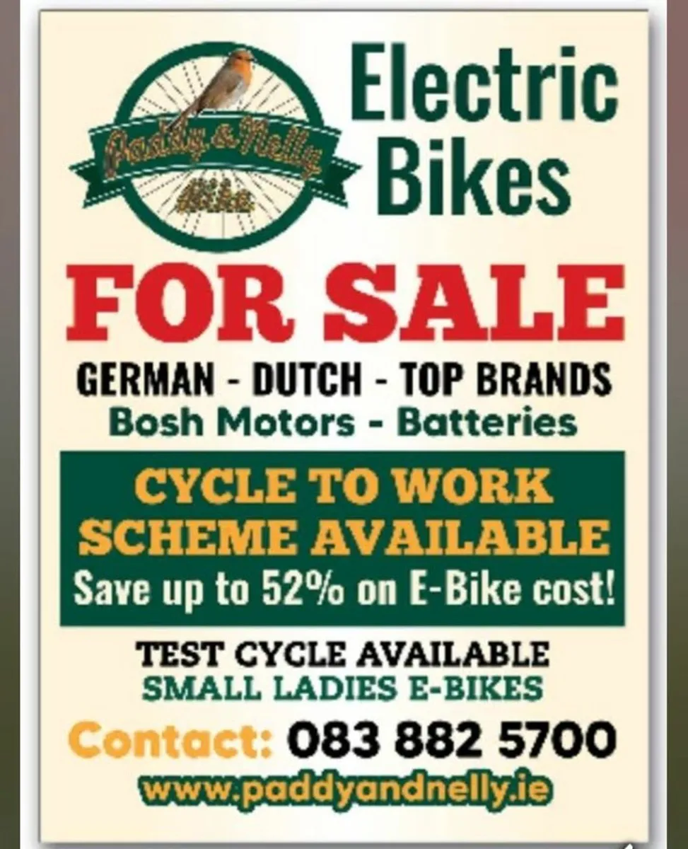 Electric bike - Image 1